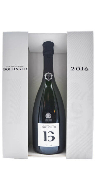 Bollinger B16