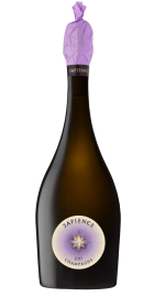 Marguet Sapience 2017