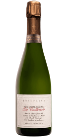 Champagne Guy Charlemagne Les Coullemets 2016 - Blanc de blancs Grand Cru Extra brut Millésimé