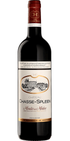 Château Chasse-Spleen 2019, Rotwein aus Moulis