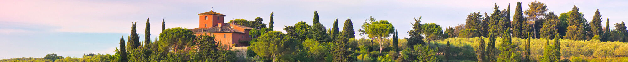 Vins italiens - desk
                