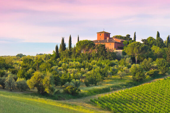 Vins italiens - resp
                