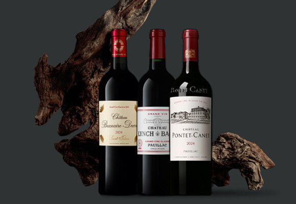 BORDEAUX PRIMEURS 2023