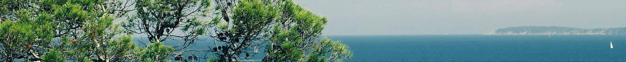 Provence 2
                