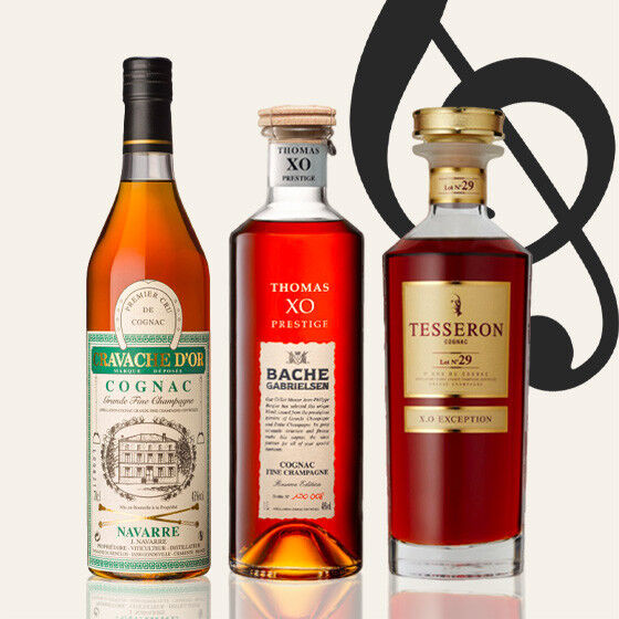 Sélection Champagne
							