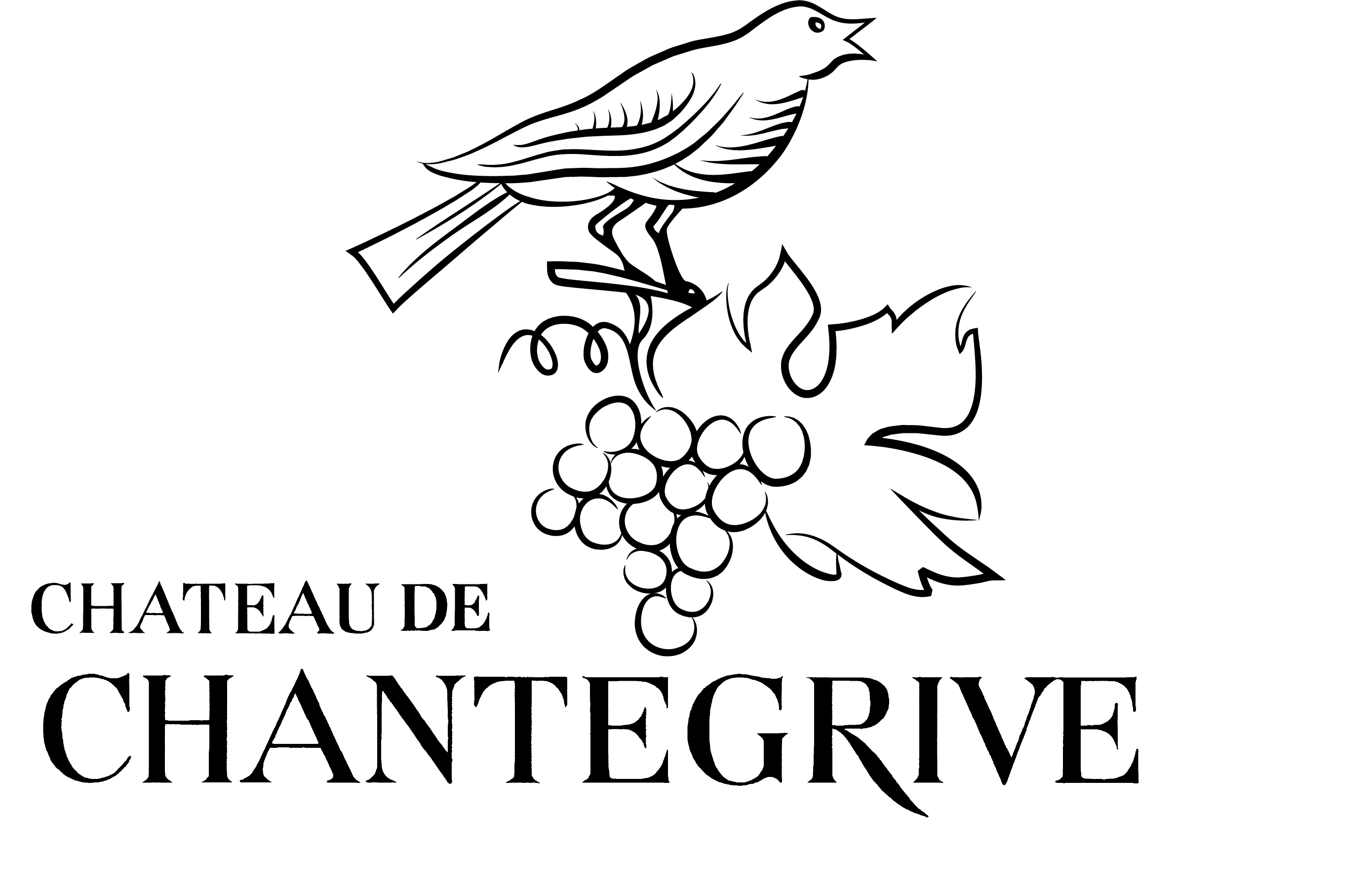 Château de Chantegrive