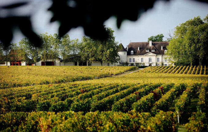 Château Bouscaut