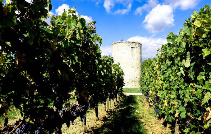 Château Poesia