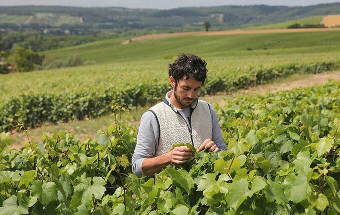 Cédric Bouchard