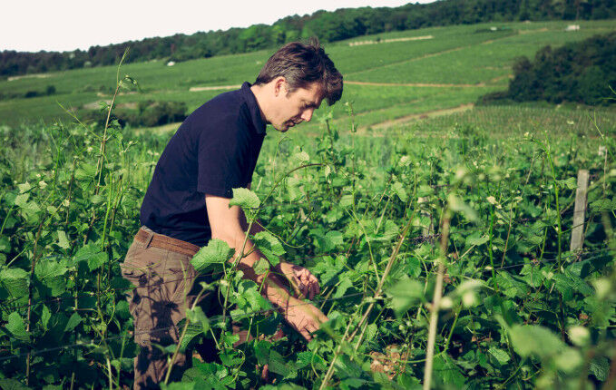 Domaine Arlaud