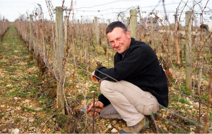 Domaine Hubert Lamy Domaine Hubert Lamy