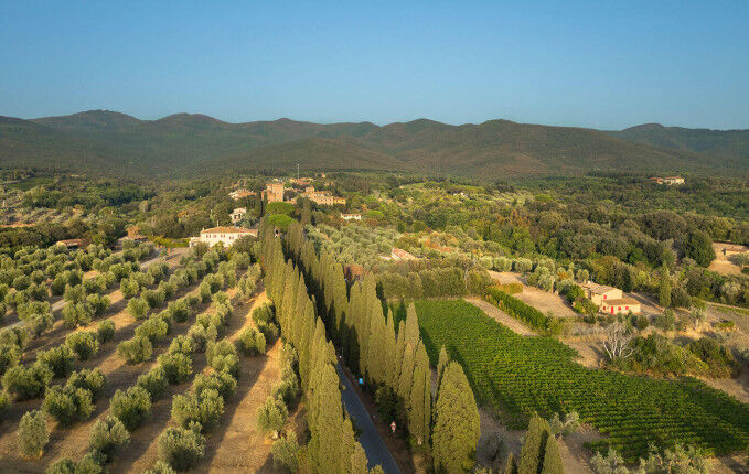 Ornellaia