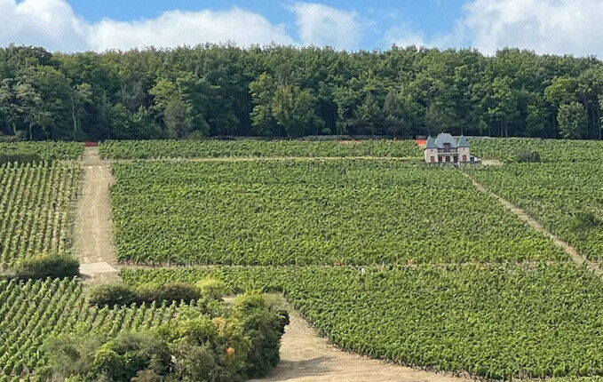 Domaine Ponsot