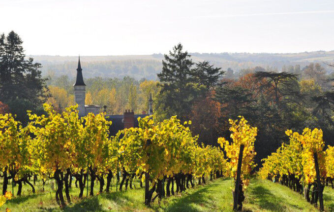 Chateau Pierre Bise