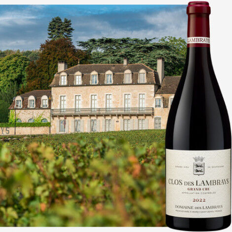 I grandi vini di Bourgogne